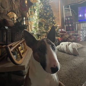 Meet your Posher, Monica